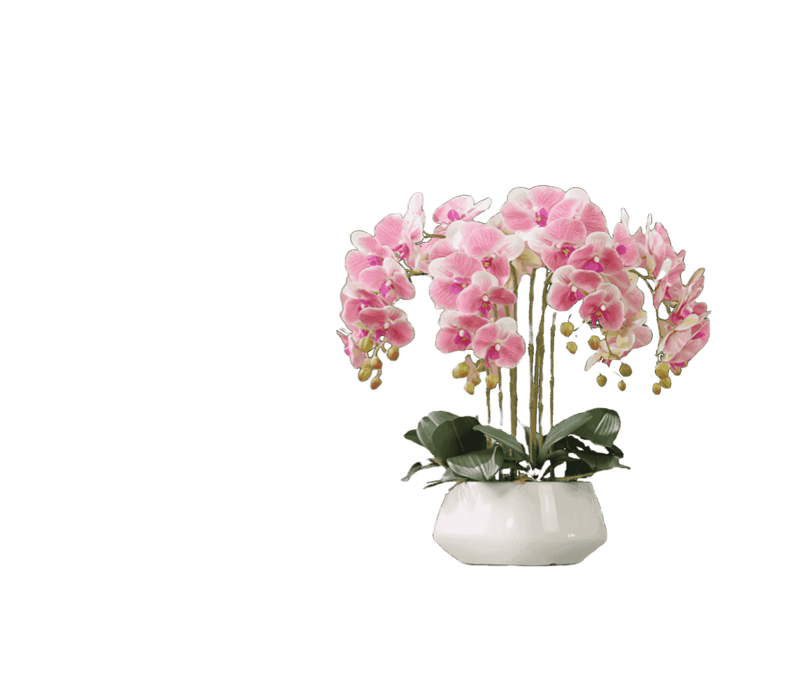 開啟盆栽辦公時(shí)代